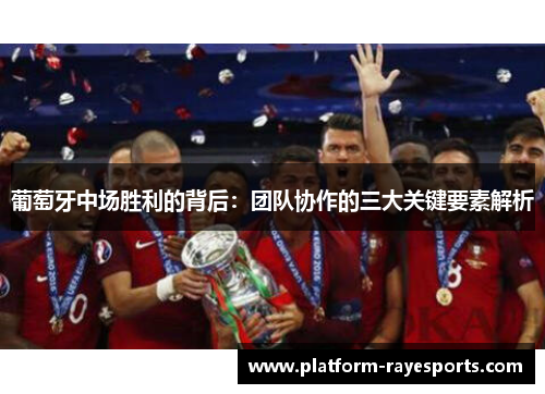 葡萄牙中场胜利的背后：团队协作的三大关键要素解析