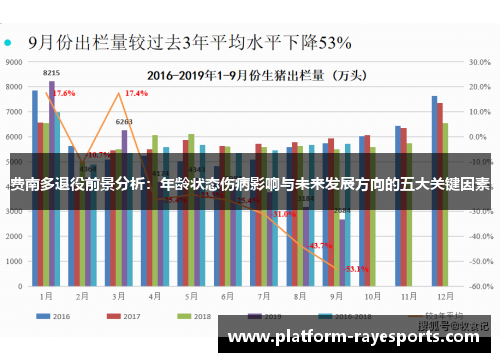 费南多退役前景分析：年龄状态伤病影响与未来发展方向的五大关键因素